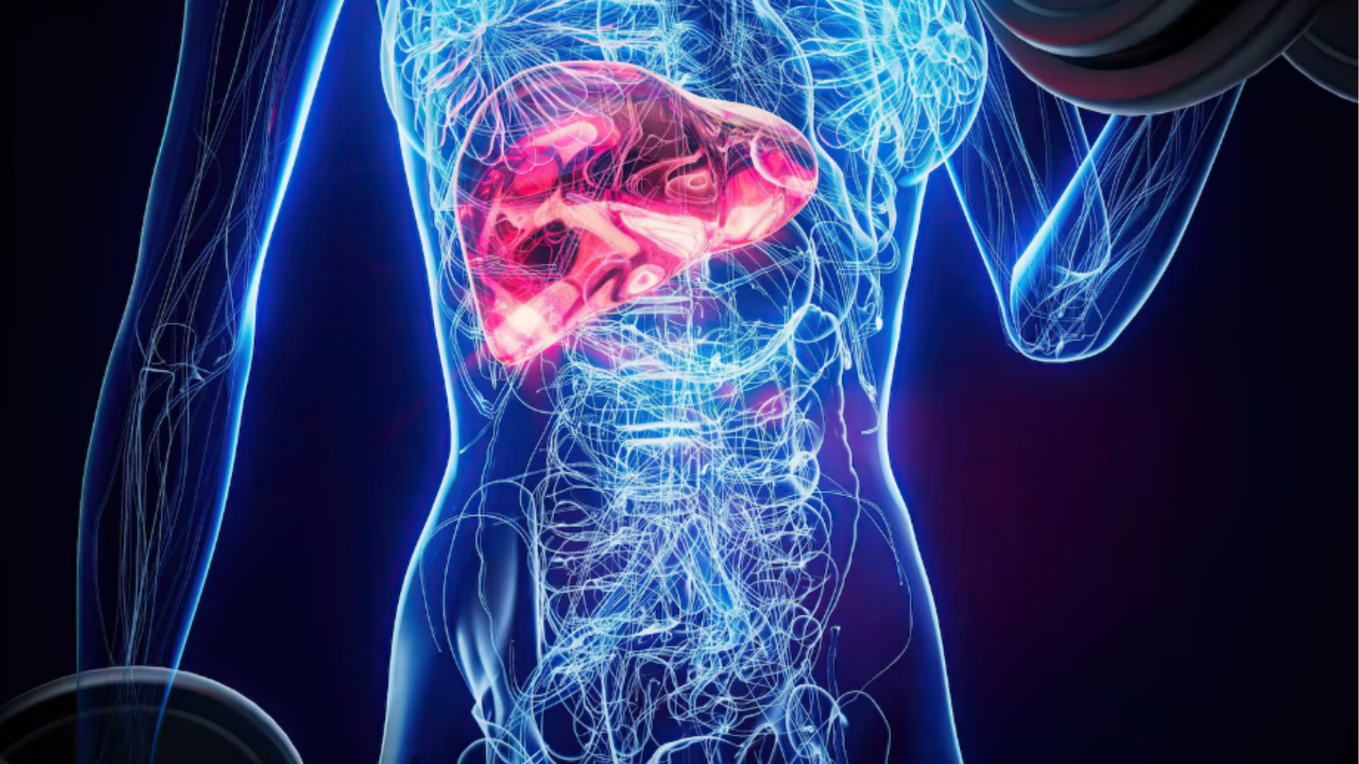 Doenças Hepáticas | Gastromed – Instituto Zilberstein