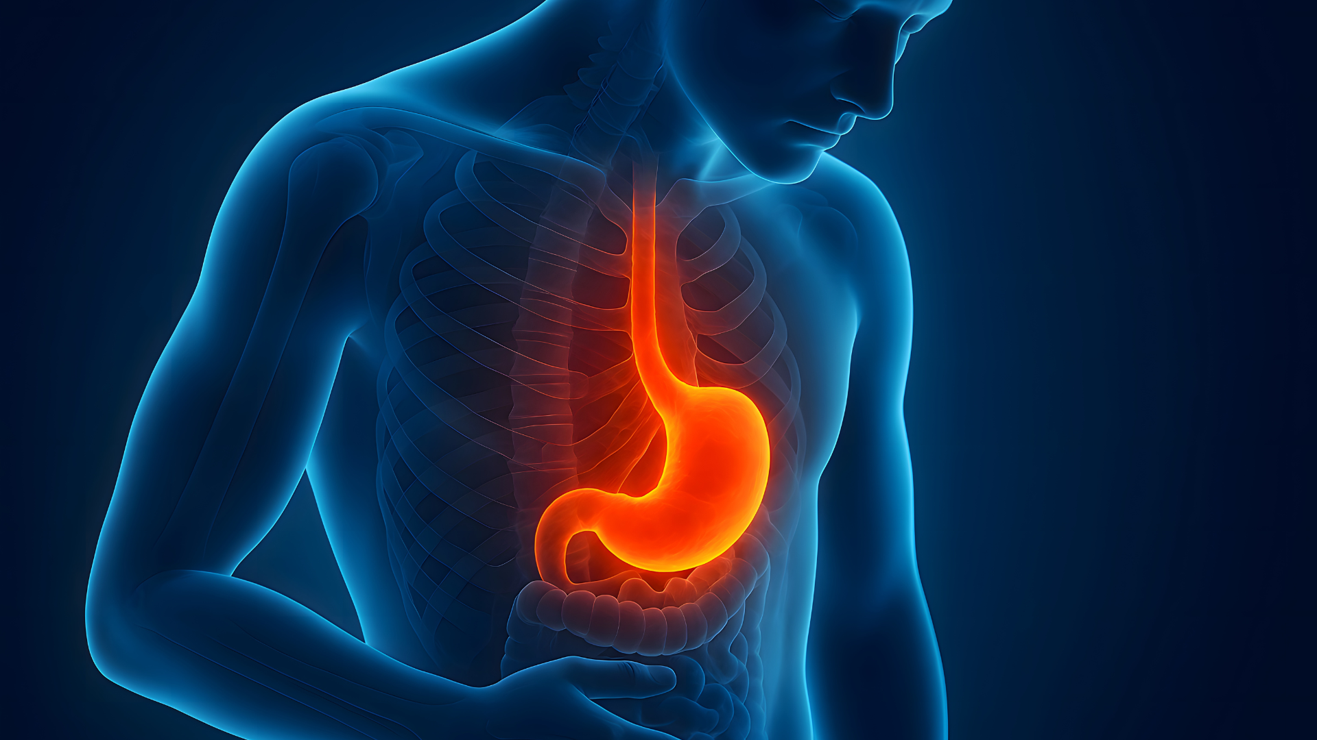 Esôfago de Barrett 7 Fatos sobre Sintomas, Diagnóstico e Tratamento | Gastromed